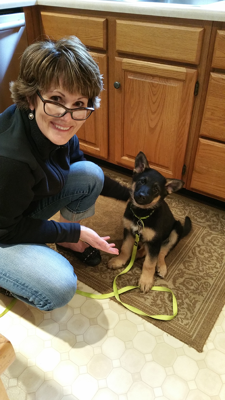 nh-dog-training